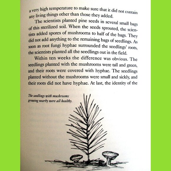 Book: The Case of the Mummified Pigs & Other Mysteries in Nature, Susan Quinlan - Picture 10 of 14